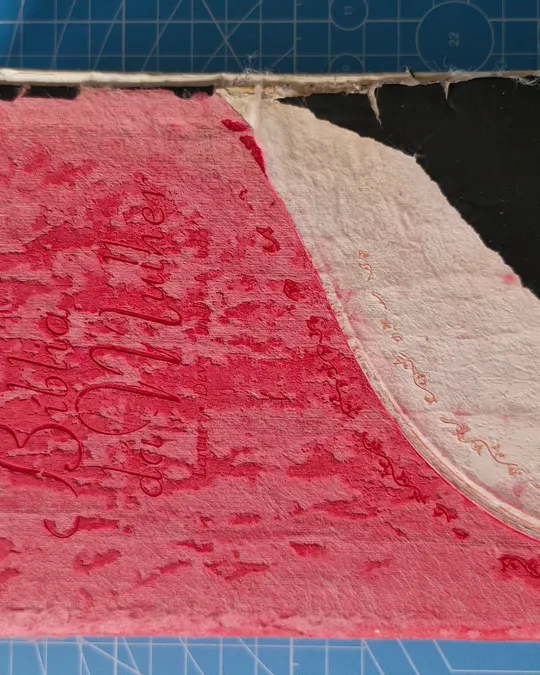 Capa de Bíblia rosa descolando do miolo, com o forro à mostra