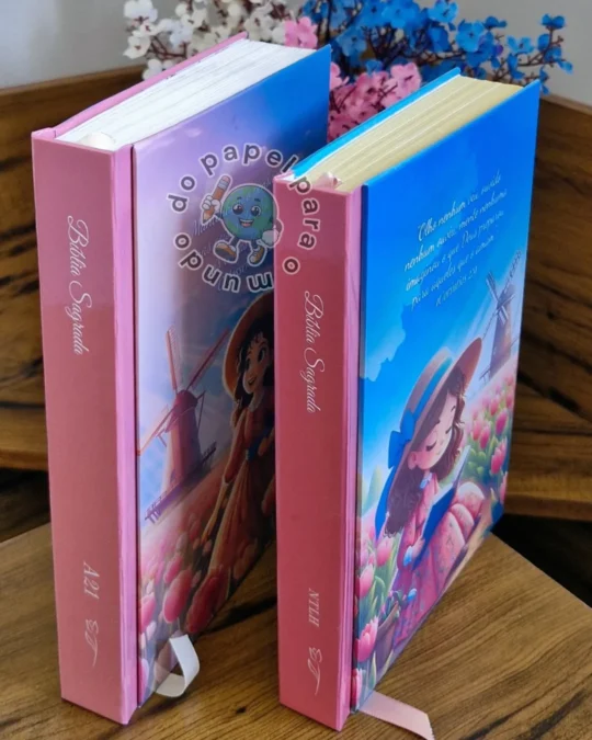 Duas Bíblias reformadas em pé, com ilustração de paisagem e capas em rosa e azul, com fitilhos de marcação